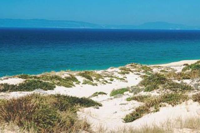 Comporta House Villa Oda fotoğraf